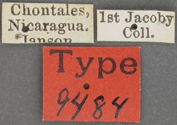 Media type: image; Entomology 9484   Aspect: labels